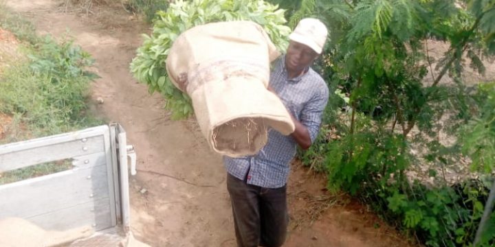 Enrichissement de la source d&rsquo;eau de Tagayè