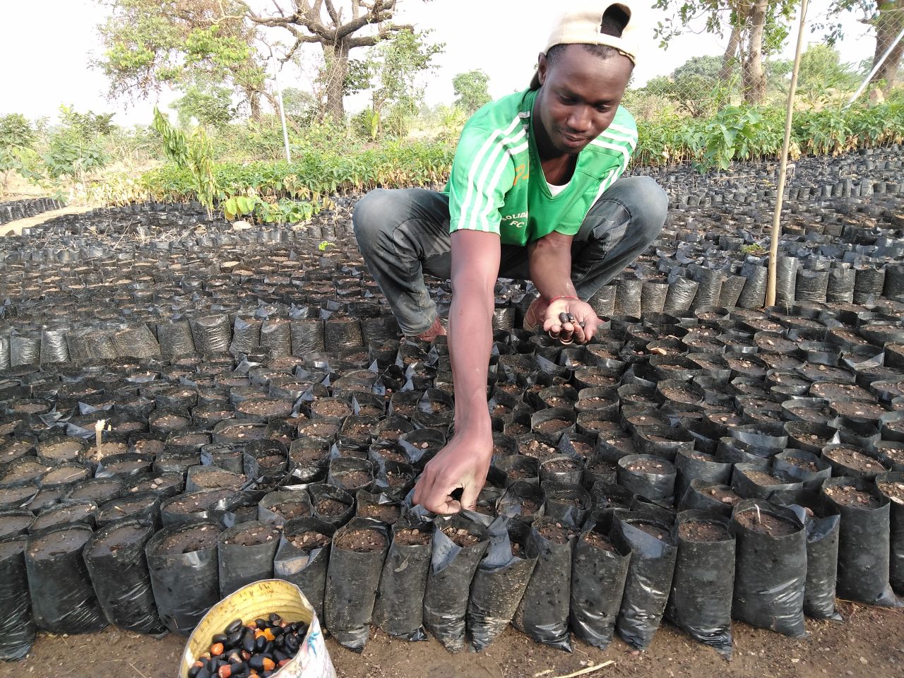 PRODUCTION DE PLANTS EN PEPINIERE