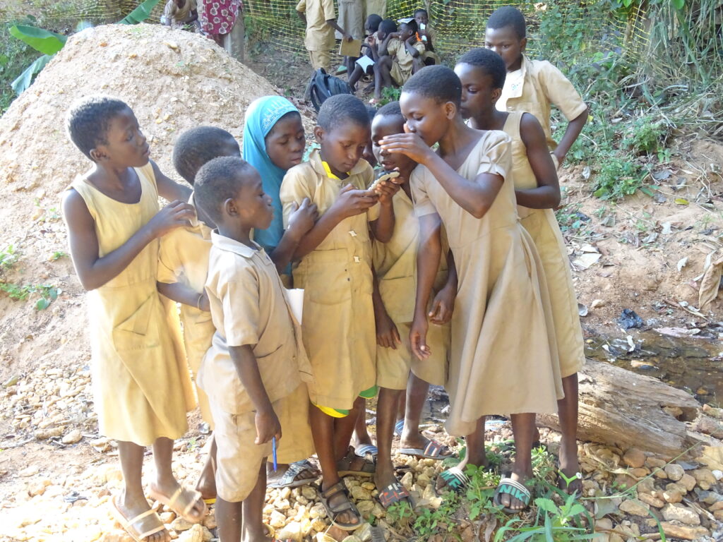 Education Environnementale au profit des écoliers et élèves riverain du site de biodiversité Fourougnèkèrè de Natitingou