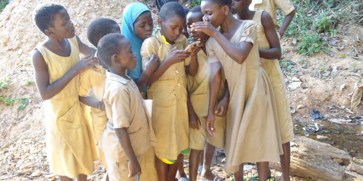 Education Environnementale au profit des écoliers et élèves riverain du site de biodiversité Fourougnèkèrè de Natitingou